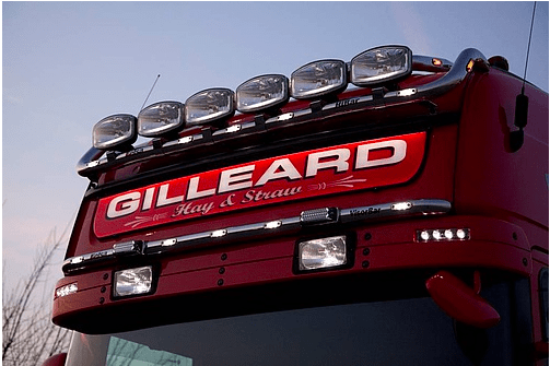 Neon Skyled PRO do Scania Topline (25x165cm), nr kat. 24164R-HH2MFR - obrazek 7