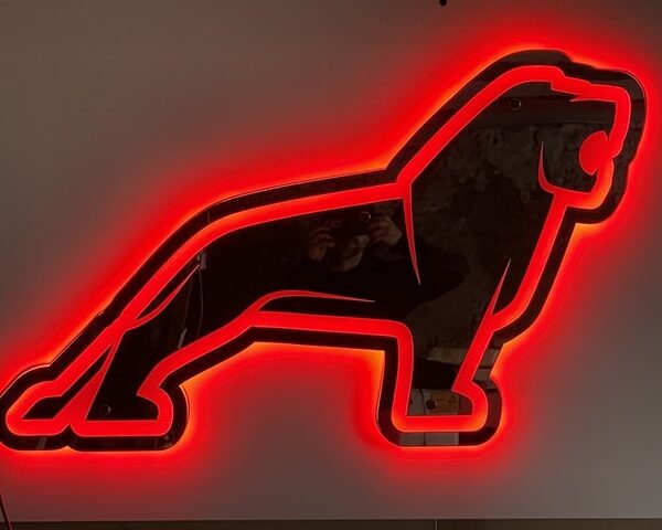 Tablica Led Lustro MAN